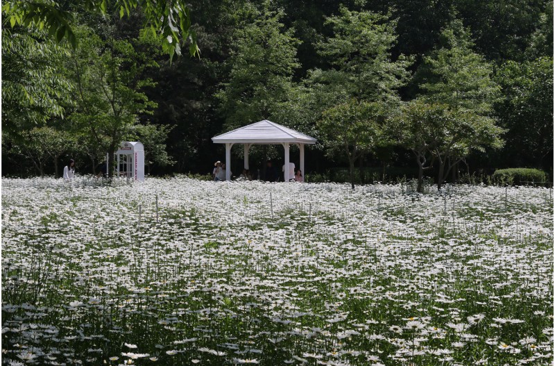 아름다운 시간들