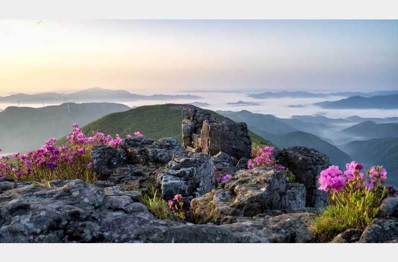 마음이 풍요로운 아침