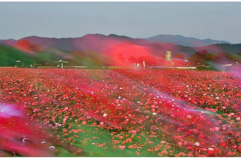 바람 불어 좋은 날