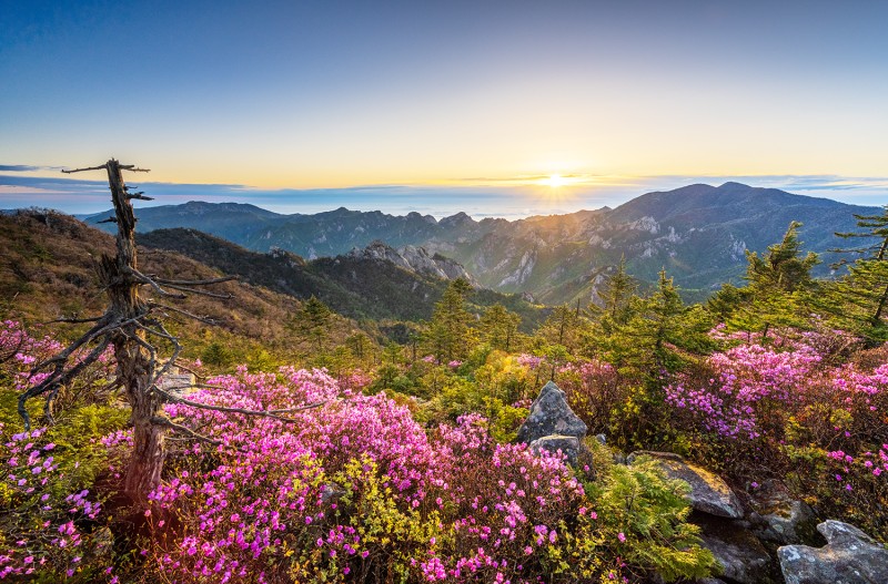 설악 귀때기청봉 일출