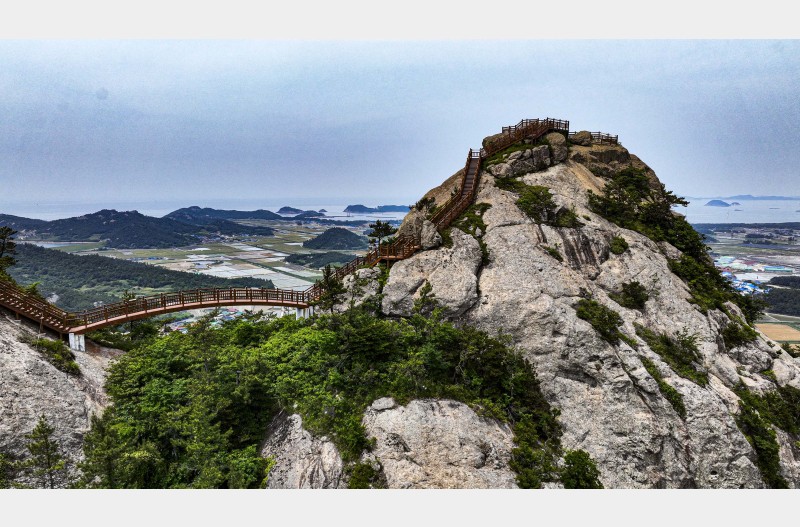 100명산을 6개월만에 조기 완주하였습니다'