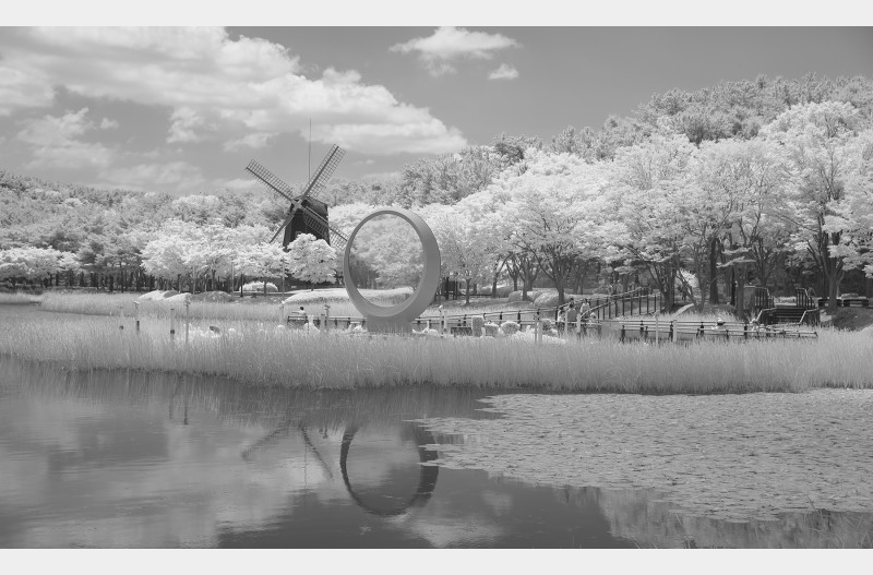 여름눈~(적외선)