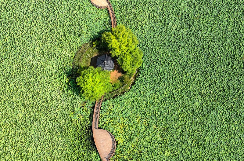 드론으로 보는 세상