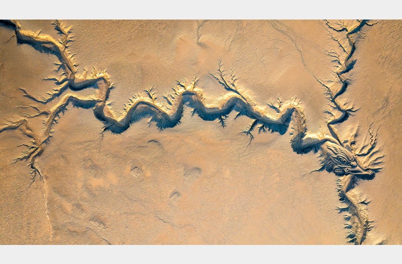 모래톱의 그림2