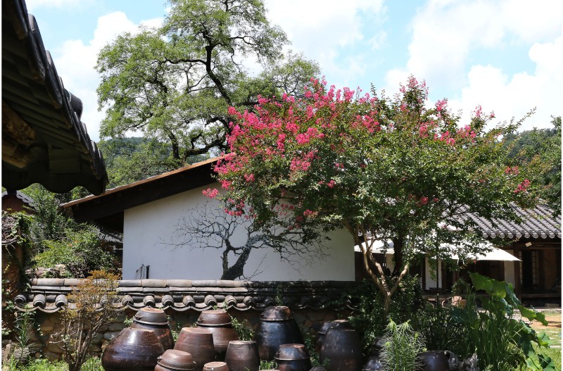 정겨운 풍경 하나