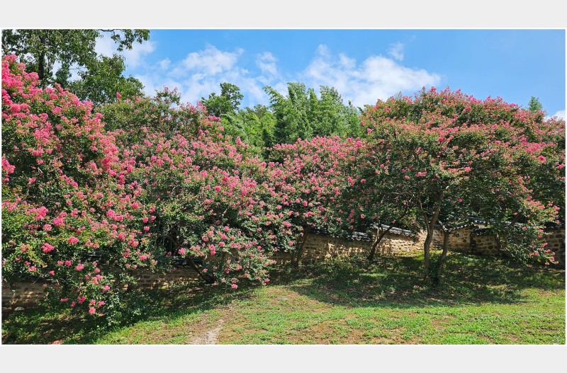 하목정 과 육신사 방문