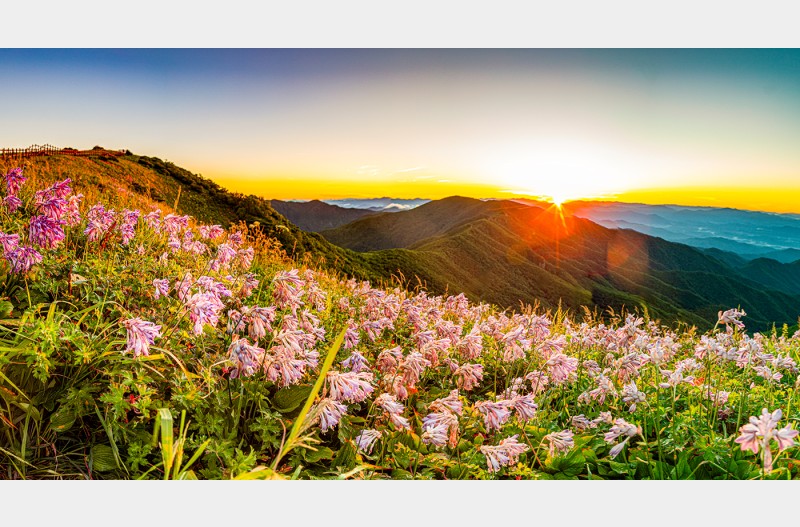 소백산 파놀중에서