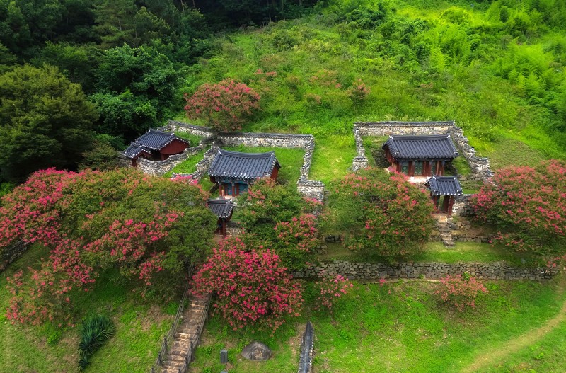 석달 열흘을 피고지는 꽃