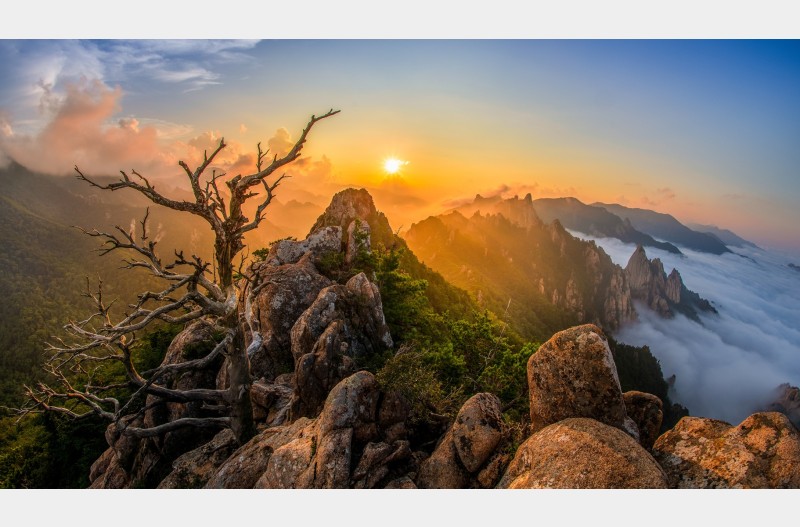 공룡능선의 여름