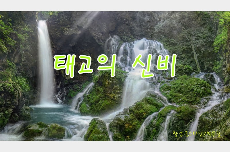 태고의신비#무건리#상동계곡이끼