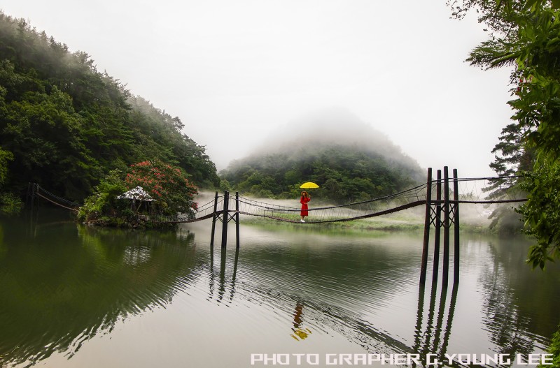 일일캠프닉타운