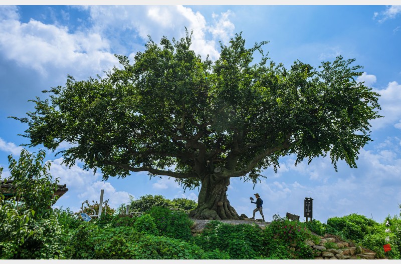 영광 백수읍 백수리