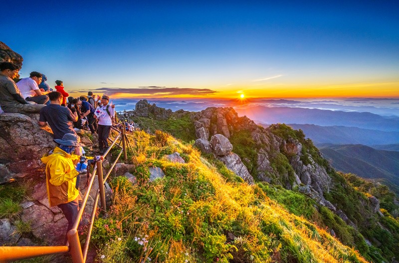 지리산 천왕봉 산오이풀