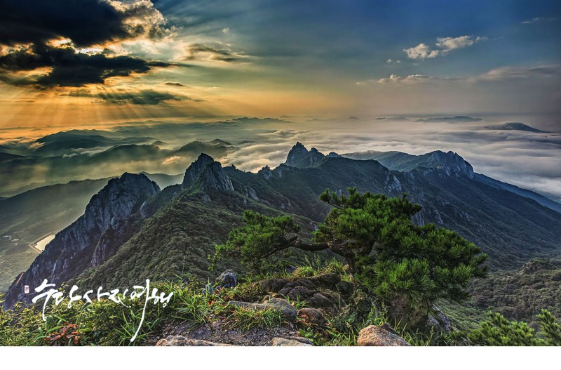 월출산 여름 이야기