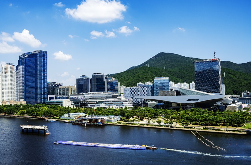 수영강 이색 뗏목