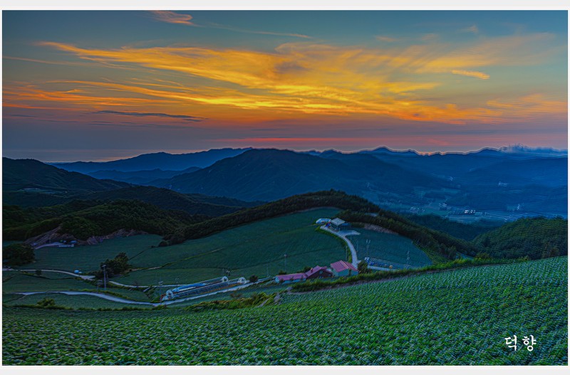 운해없는 안반대기