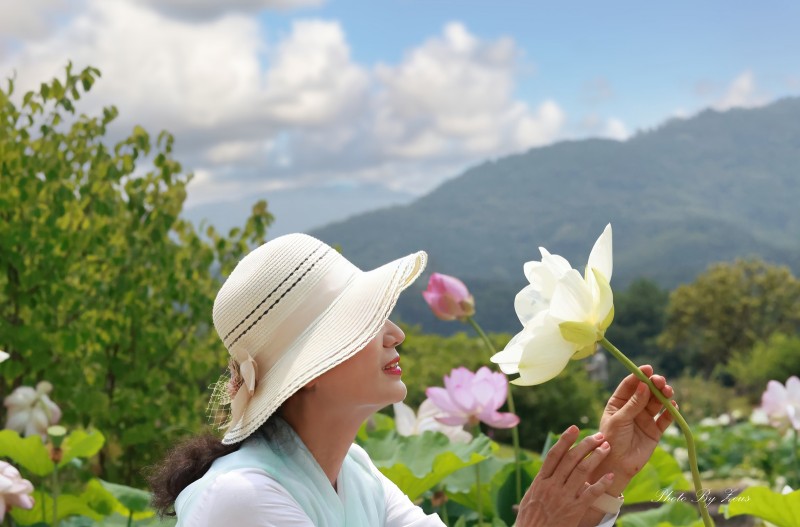 蓮을 접하고 ...