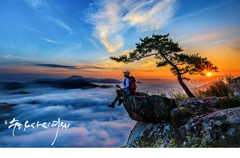 새벽 빛의 물든 여정!