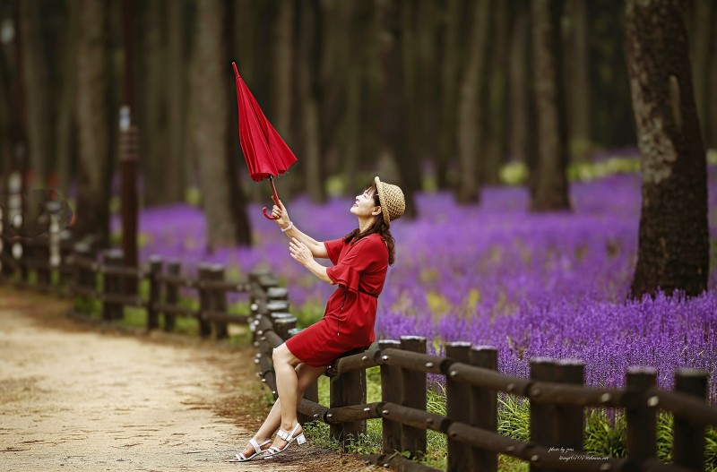 맥문동이 필때면 ...