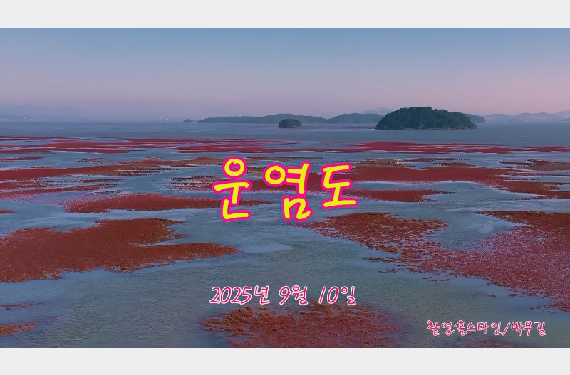 운염도#함초#칠면초#