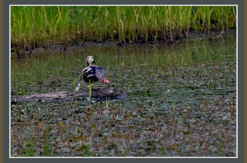 아이구몸이영...............