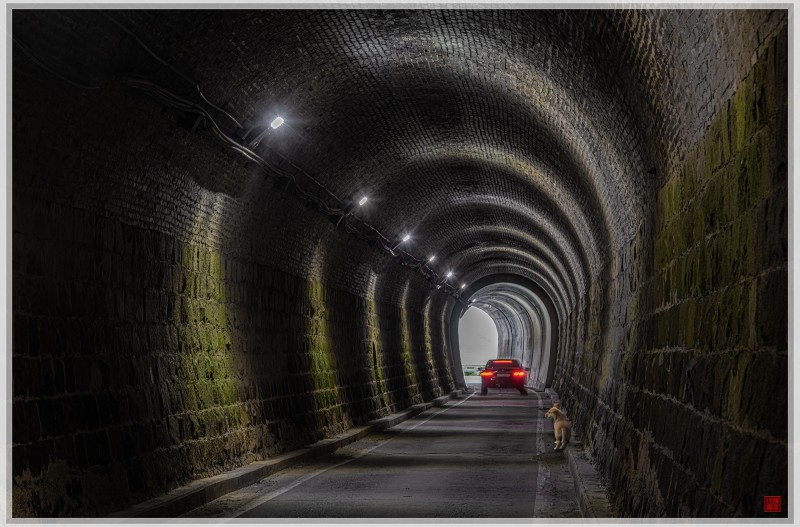 터널속에서