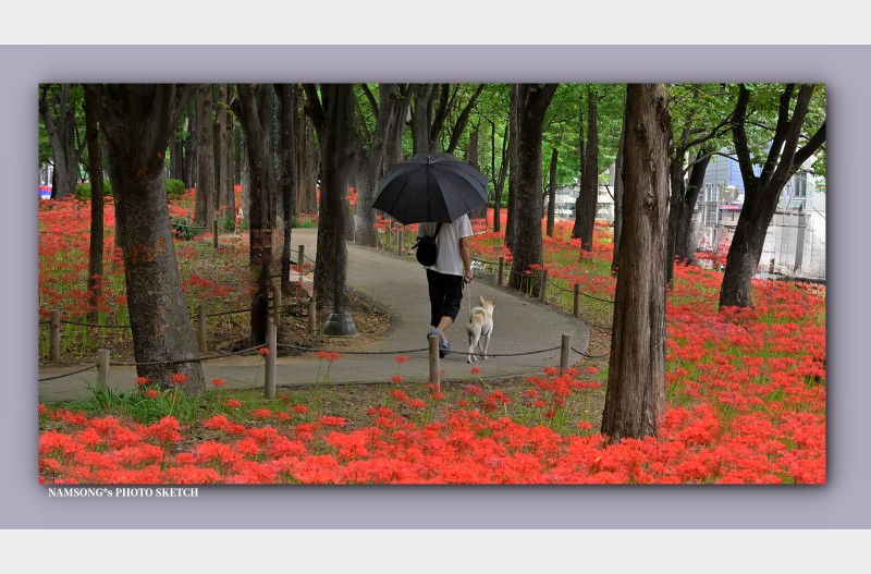 강아지와 데이트 ---