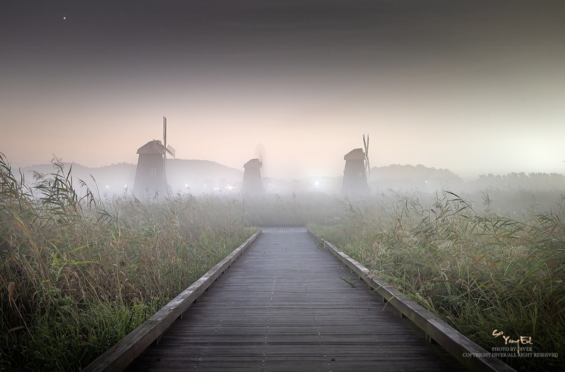 땅안개가 가득한