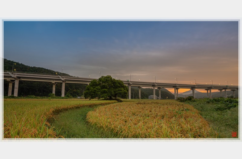 풍성한 한가위 맞이하세요