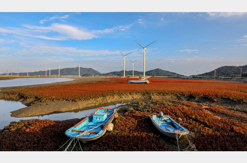 바다로 가고 싶어!