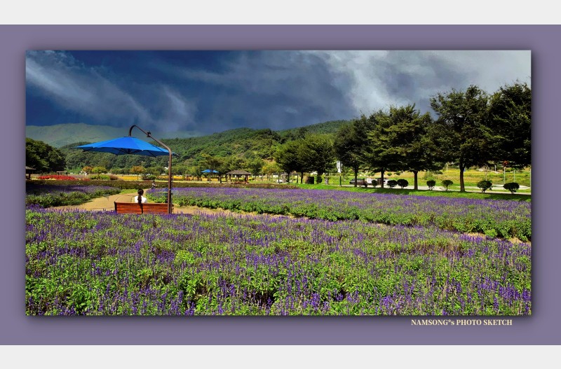 상림 꽃밭에서 -------