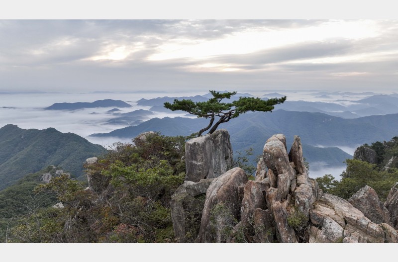 도봉산에서계룡산까지,