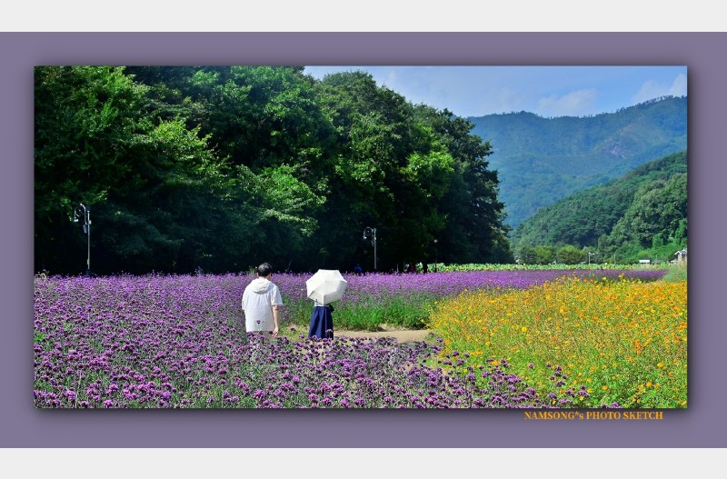 가을이 깊어가는 순간에 ---