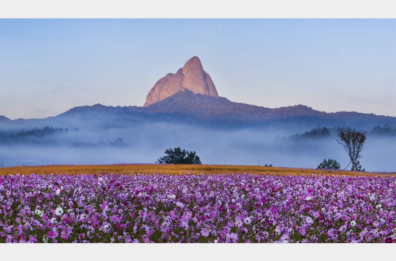 마이산 @ 코스모스