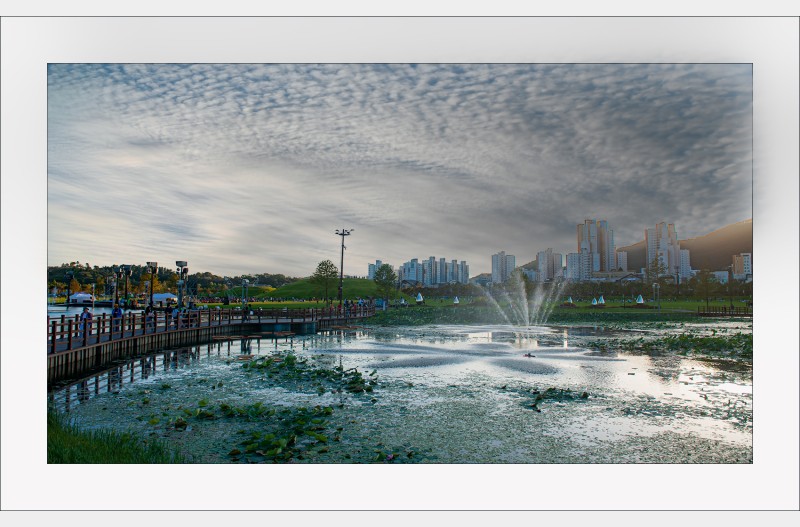 국가정원의 오후..