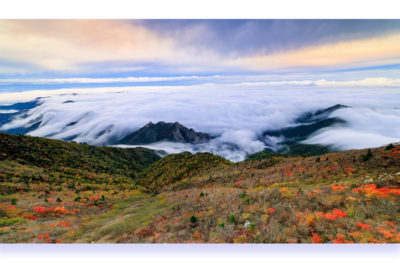 일곱갈래 운해폭포