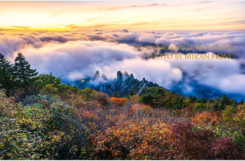 용아장성의 만추