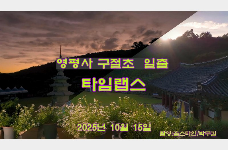 영평사구절초일출타임랩스