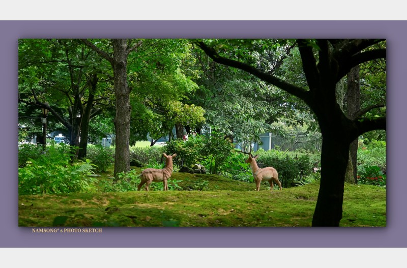 조용한 뜨락의 풍경 ---