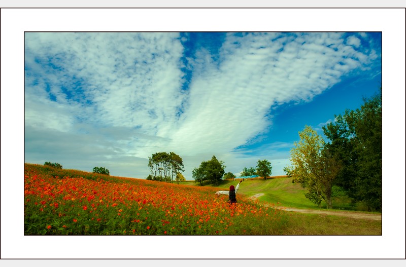 가을날의 오후...
