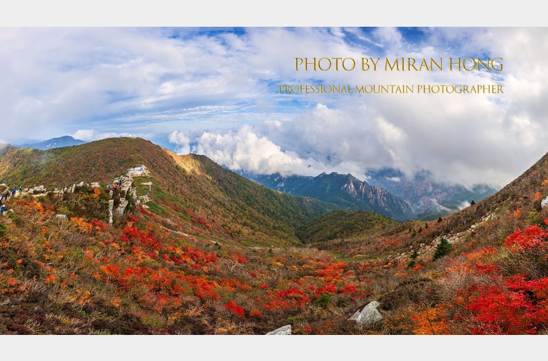 2025년 대청봉 단풍