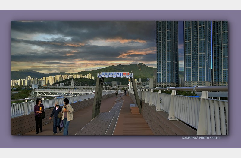 낙동강 나릇터 길에서 -----