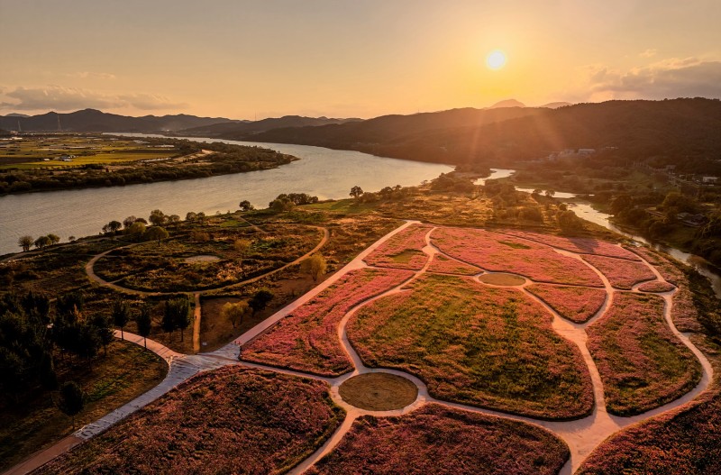 다산 은행나무숲