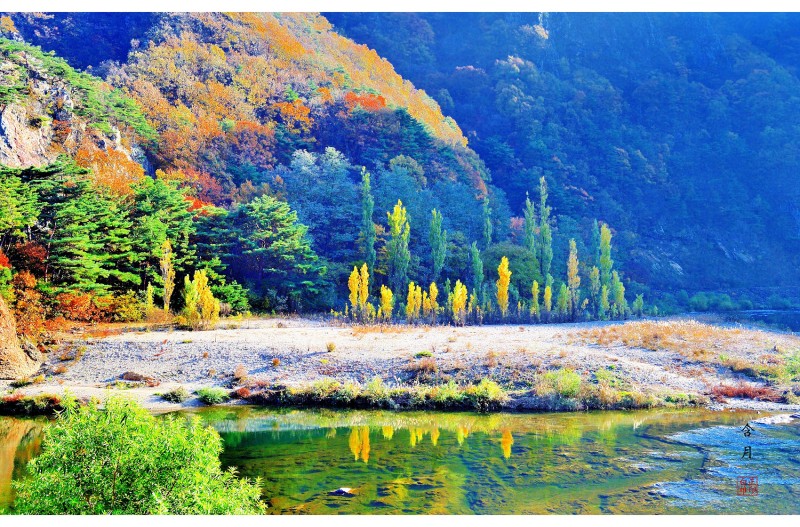 초강천 가을 풍경