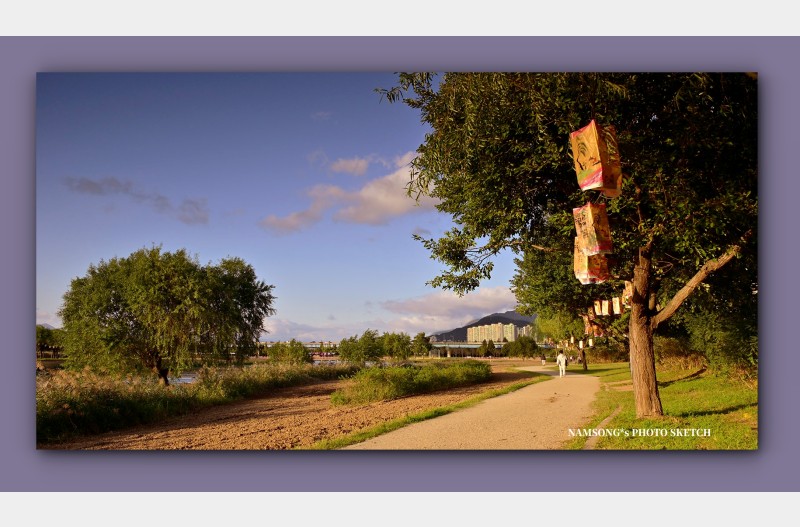 저녁 노을 질 무렵에   ----