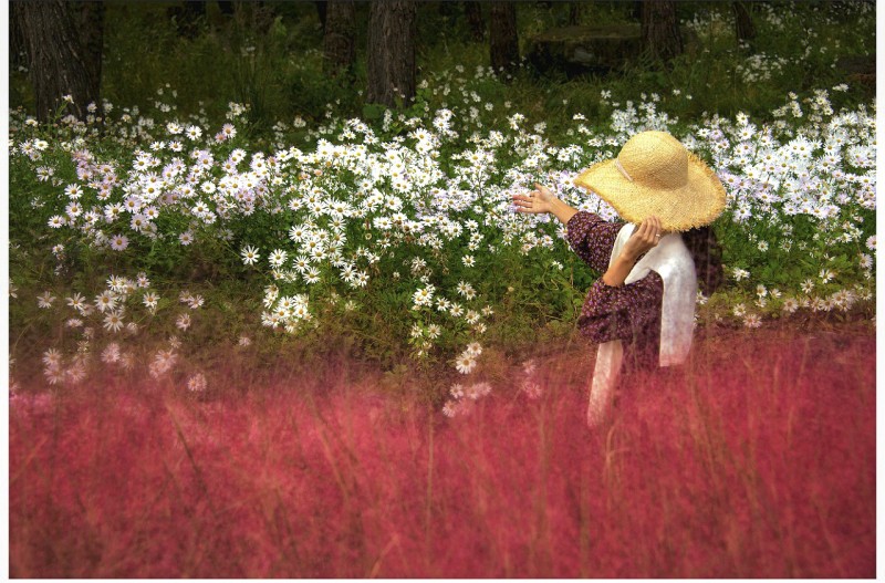 계절의 향기를 잡는다