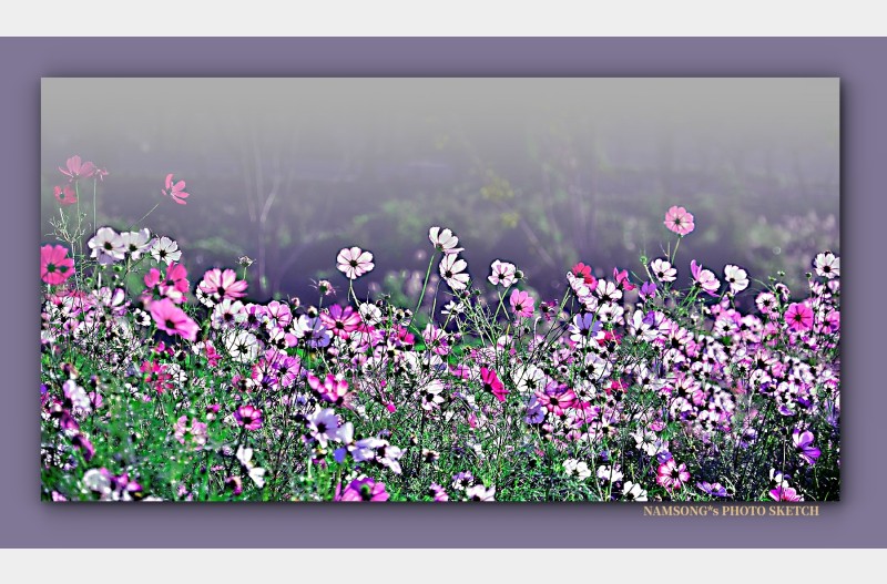 깊어가는 가을에 ----