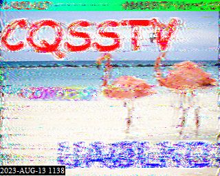 202308131138