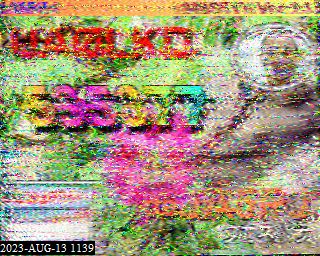 202308131139