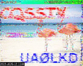 202308131144